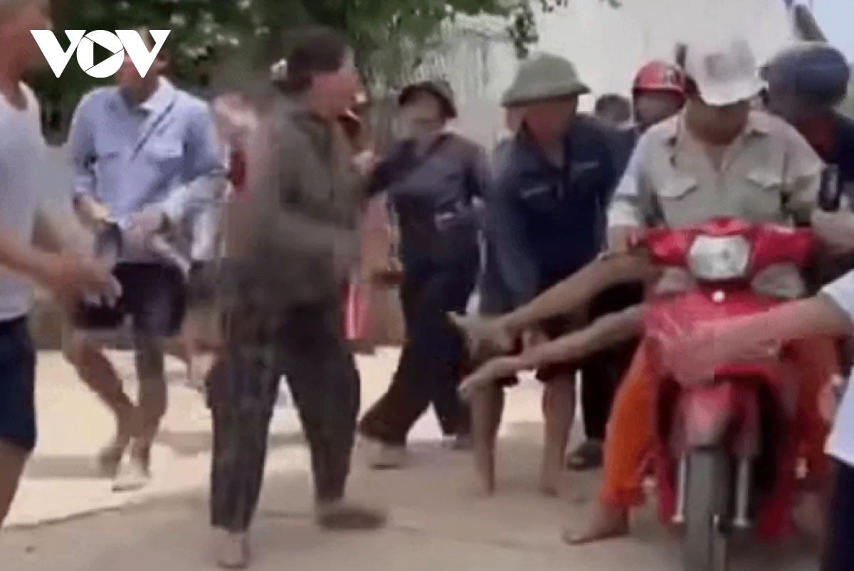 Bị ong đốt, người đàn ông tử vong trên đường đi cấp cứu